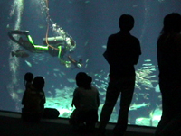 Aqua World- Oarai, Japan